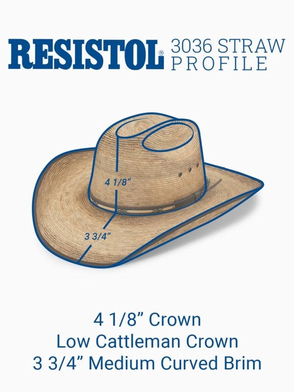 Jason Aldean palm hat